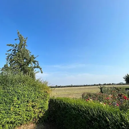 Ferienbungalow Zum Anleger 3 * Hohenkirchen (Nordwestmecklenburg)